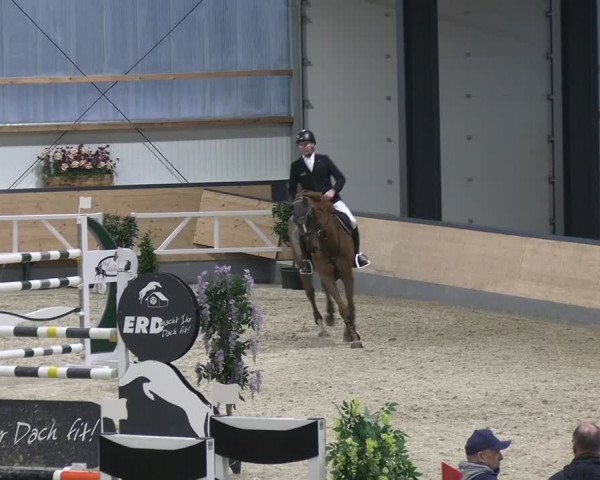Reitturnier Borken 2024