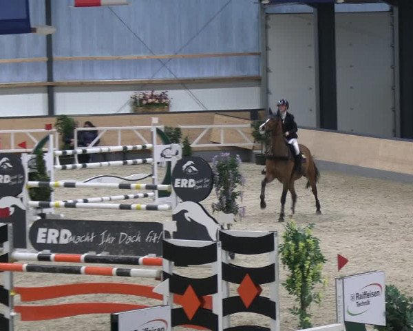 Reitturnier Borken 2024