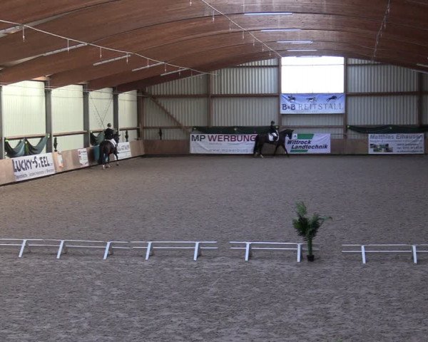 Reitturnier Hesel 2024