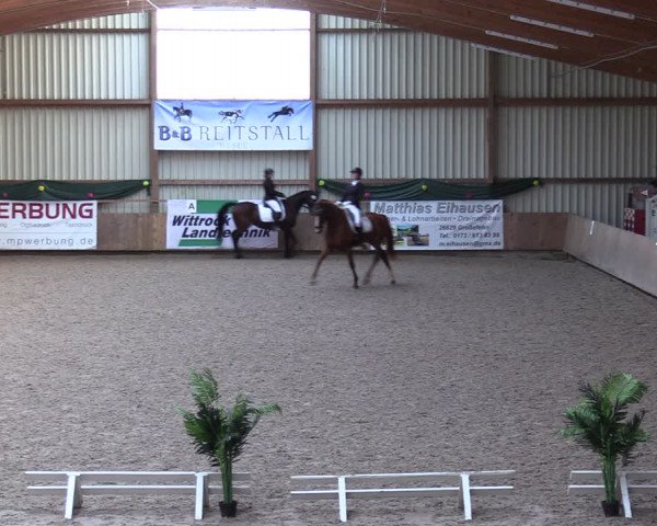 Reitturnier Hesel 2024