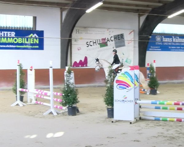 Reitturnier Viernheim 2024