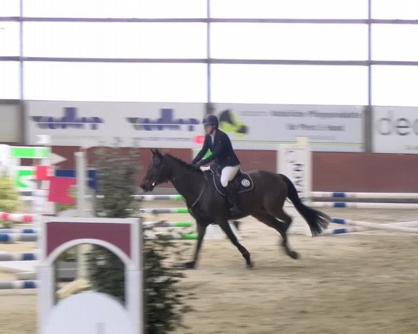Reitturnier Viernheim 2024