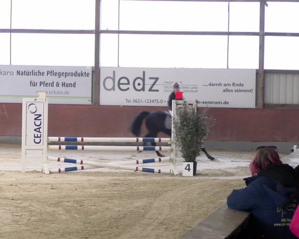 Reitturnier Viernheim 2024