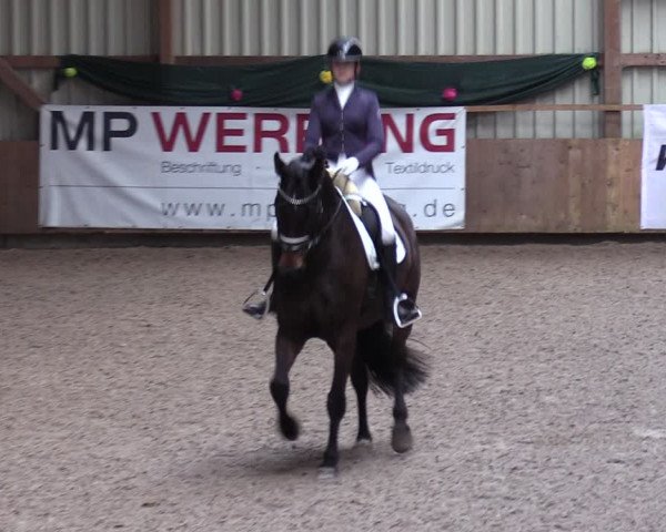 Reitturnier Hesel 2024