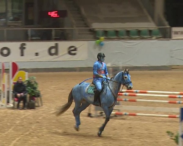 Reitturnier Kreuth/Opf. 2024