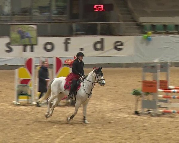 Reitturnier Kreuth/Opf. 2024