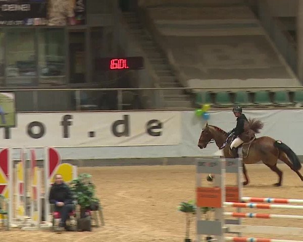Reitturnier Kreuth/Opf. 2024