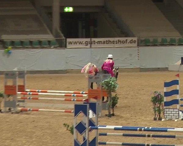 Reitturnier Kreuth/Opf. 2024