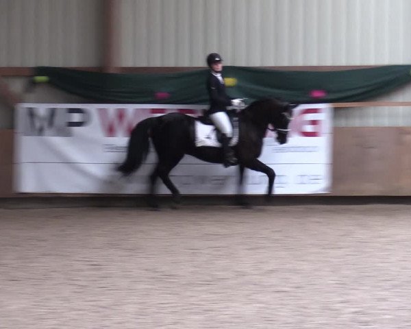 Reitturnier Hesel 2024