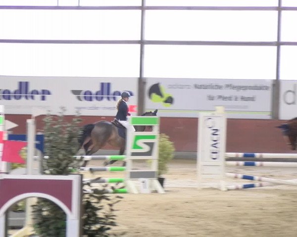 Reitturnier Viernheim 2024