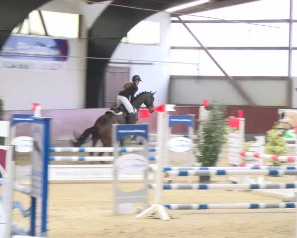 Reitturnier Viernheim 2024