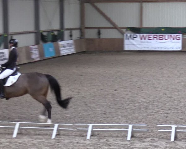Reitturnier Hesel 2024