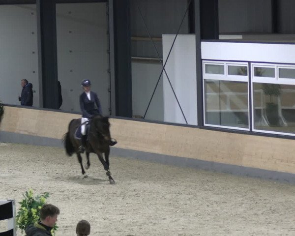 Reitturnier Borken 2024