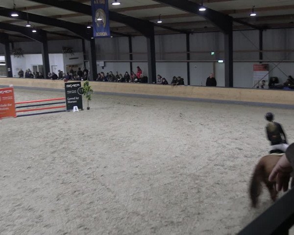 Reitturnier Borken 2024