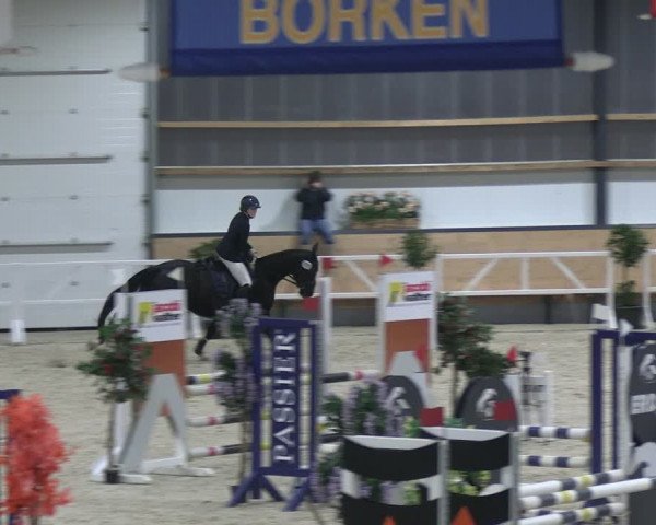 Reitturnier Borken 2024