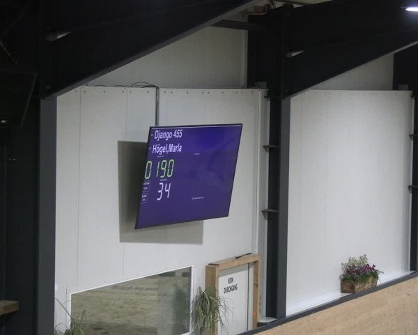 Reitturnier Borken 2024