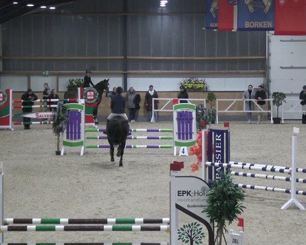 Reitturnier Borken 2024
