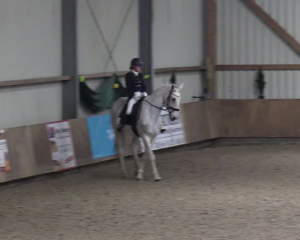 Reitturnier Hesel 2024