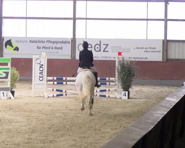 Reitturnier Viernheim 2024