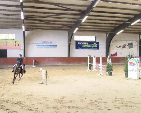 Reitturnier Viernheim 2024