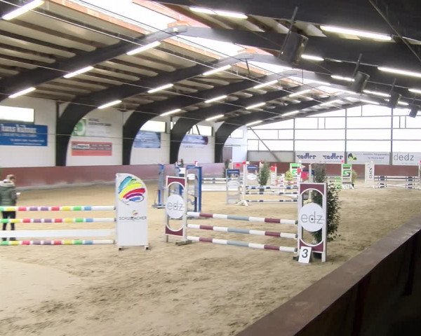 Reitturnier Viernheim 2024