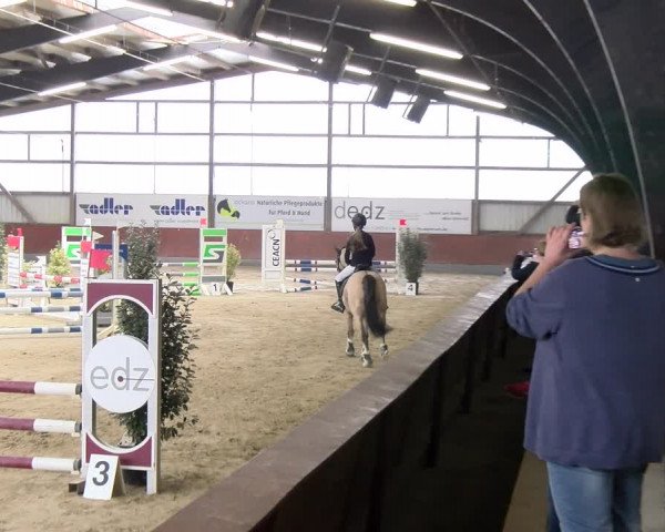 Reitturnier Viernheim 2024