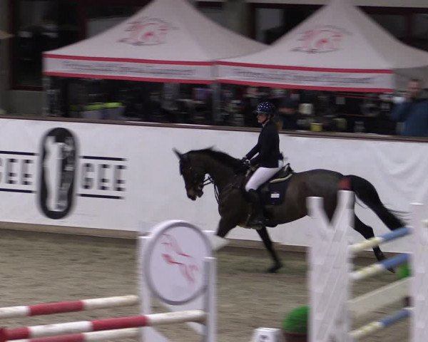 Reitturnier Prussendorf 2024