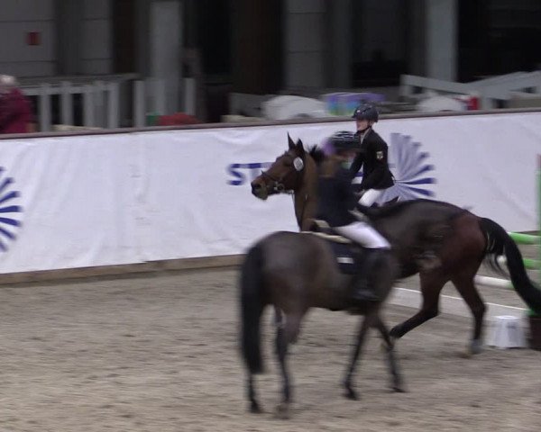 Reitturnier Prussendorf 2024