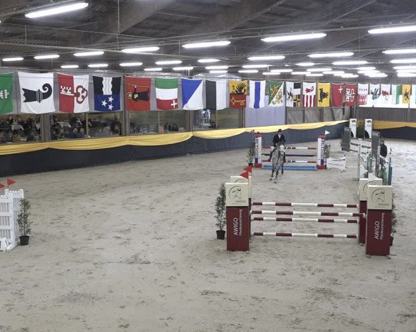 Reitturnier Erlen 2024