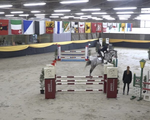 Reitturnier Erlen 2024