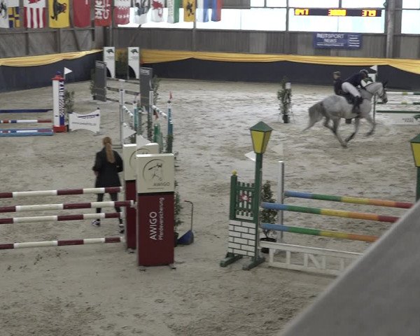 Reitturnier Erlen 2024