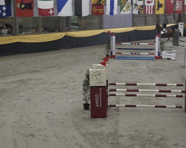Reitturnier Erlen 2024