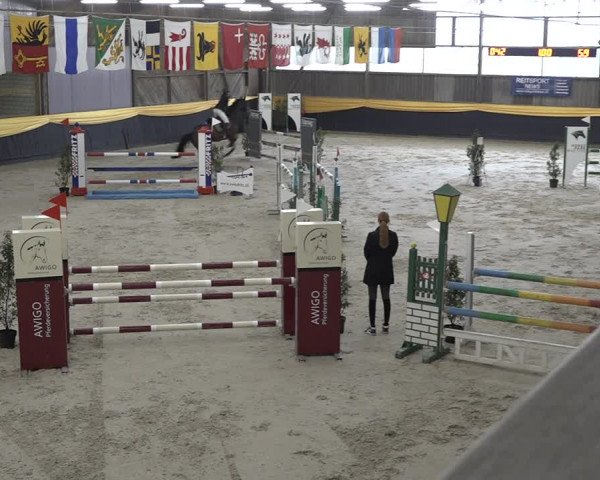 Reitturnier Erlen 2024
