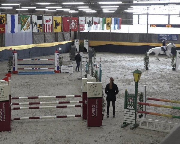 Reitturnier Erlen 2024