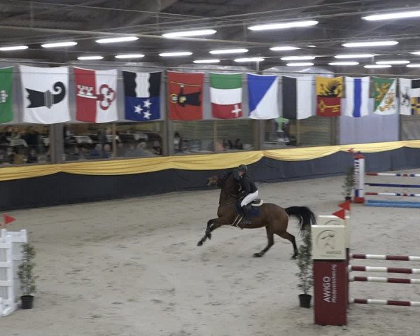 Reitturnier Erlen 2024