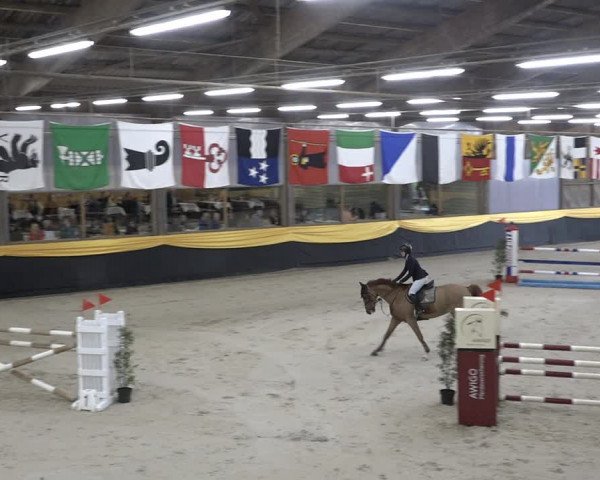 Reitturnier Erlen 2024