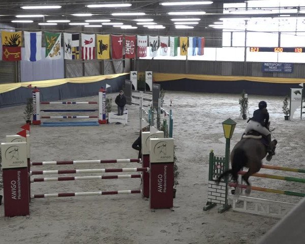 Reitturnier Erlen 2024