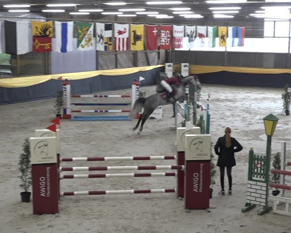 Reitturnier Erlen 2024
