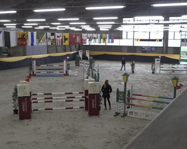 Reitturnier Erlen 2024