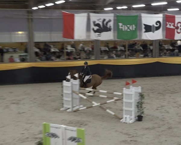 Reitturnier Erlen 2024