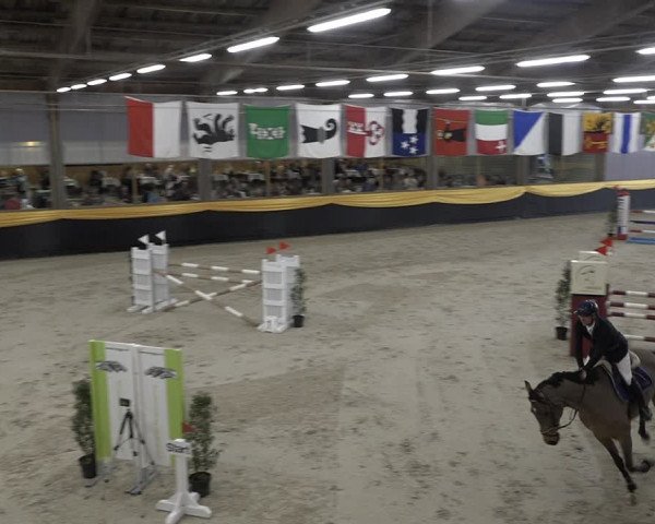 Reitturnier Erlen 2024