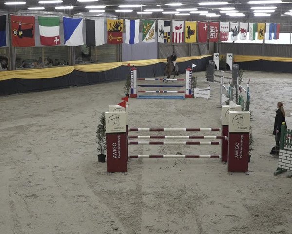 Reitturnier Erlen 2024