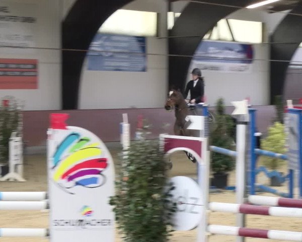 Reitturnier Viernheim 2024