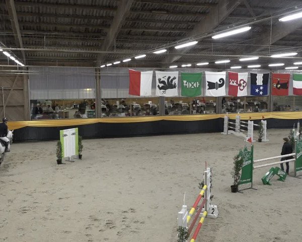 Reitturnier Erlen 2024