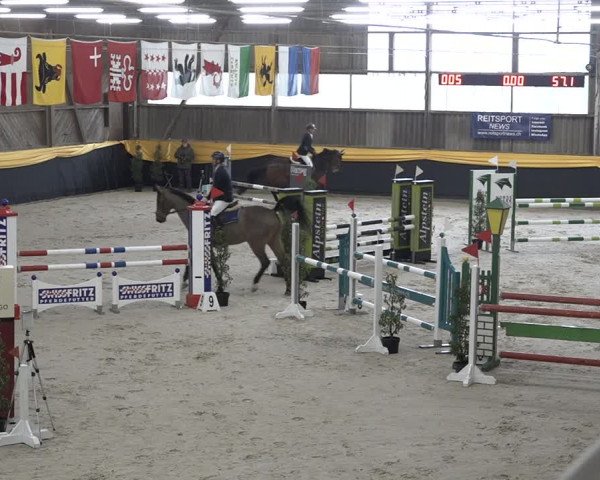 Reitturnier Erlen 2024
