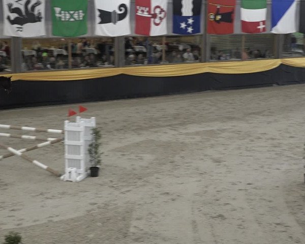 Reitturnier Erlen 2024
