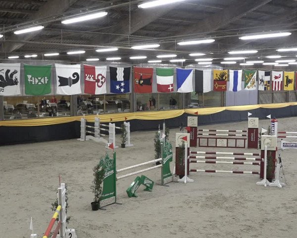 Reitturnier Erlen 2024