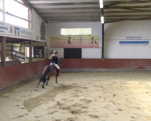 Reitturnier Viernheim 2024