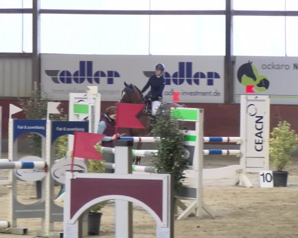 Reitturnier Viernheim 2024