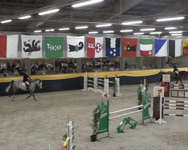 Reitturnier Erlen 2024